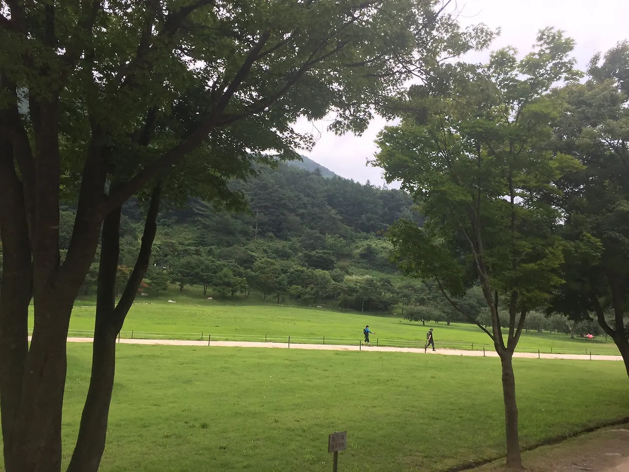 %EB%AC%B8%EA%B2%BD%EC%83%88%EC%9E%AC-3.jpg?zoom=1.25&amp;resize=700%2C525