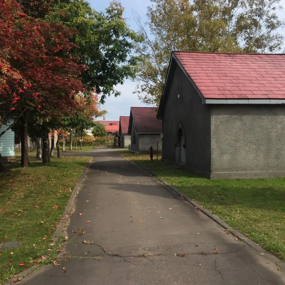 %ED%99%8B%EC%B9%B4%EC%9D%B4%EB%8F%84-%EB%8B%88%EC%B9%B4-%EC%9C%84%EC%8A%A4%ED%82%A4-3.jpg?zoom=1.25&amp;resize=700%2C700