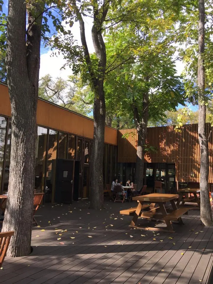 %ED%99%8B%EC%B9%B4%EC%9D%B4%EB%8F%84-%EB%8C%80%ED%95%99%EA%B5%90-7.jpg?zoom=1.25&amp;resize=700%2C933