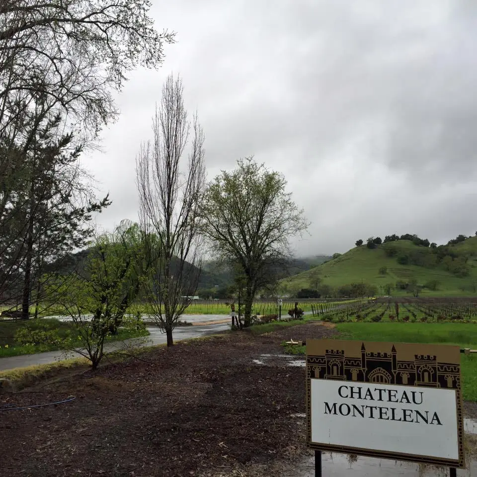 %EC%83%A4%ED%86%A0-%EB%AA%AC%ED%85%94%EB%A0%88%EB%82%98-1.jpg?zoom=1.25&amp;resize=700%2C700