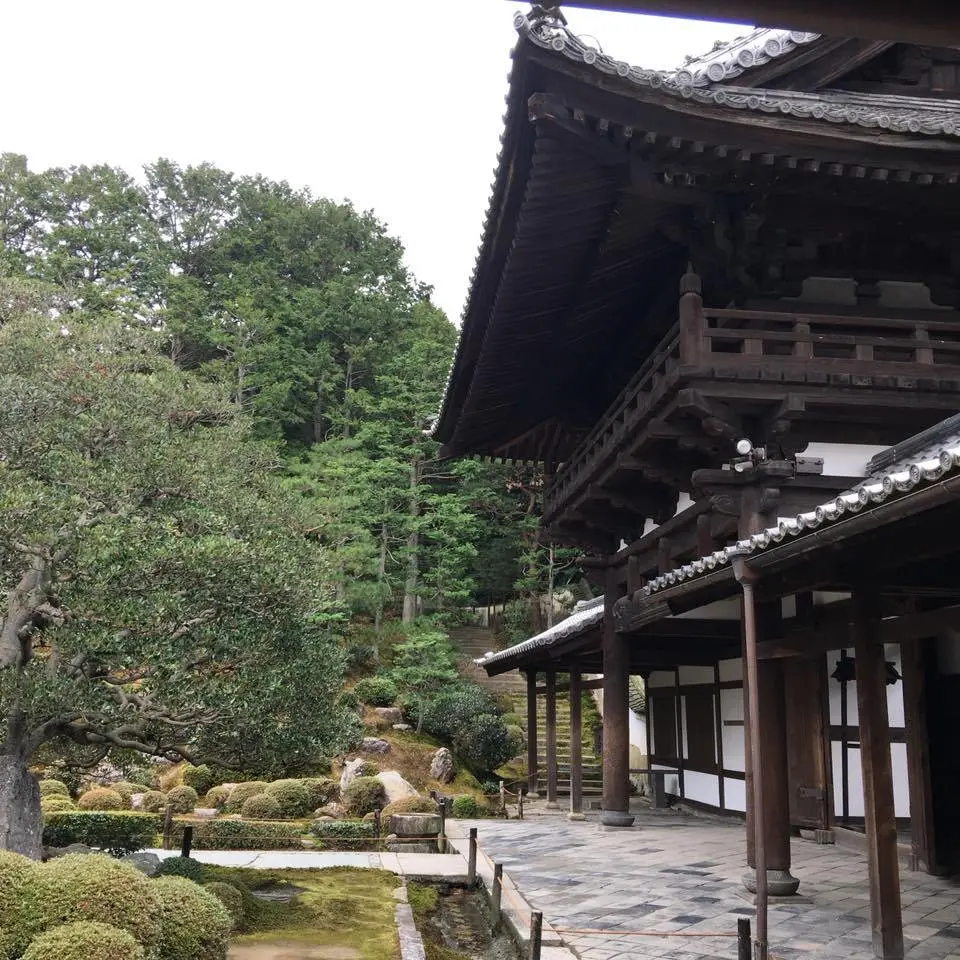 %EB%8F%84%ED%9B%84%EC%BF%A0%EC%A7%80%EC%9D%98-%EC%B2%9C%EA%B5%AD-%EA%B0%99%EC%9D%80-%ED%92%8D%EA%B2%BD-4.jpg?zoom=1.25&amp;resize=700%2C700