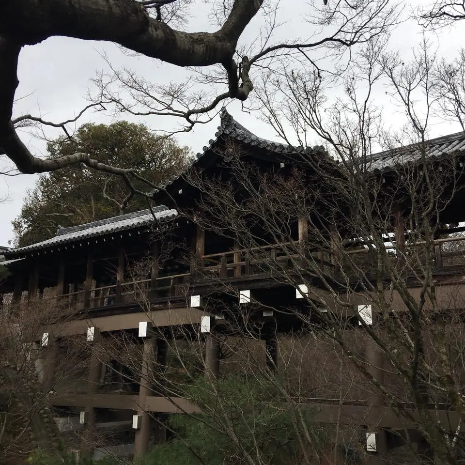 %EB%8F%84%ED%9B%84%EC%BF%A0%EC%A7%80%EC%9D%98-%EC%B2%9C%EA%B5%AD-%EA%B0%99%EC%9D%80-%ED%92%8D%EA%B2%BD-1.jpg?zoom=1.25&amp;resize=700%2C700