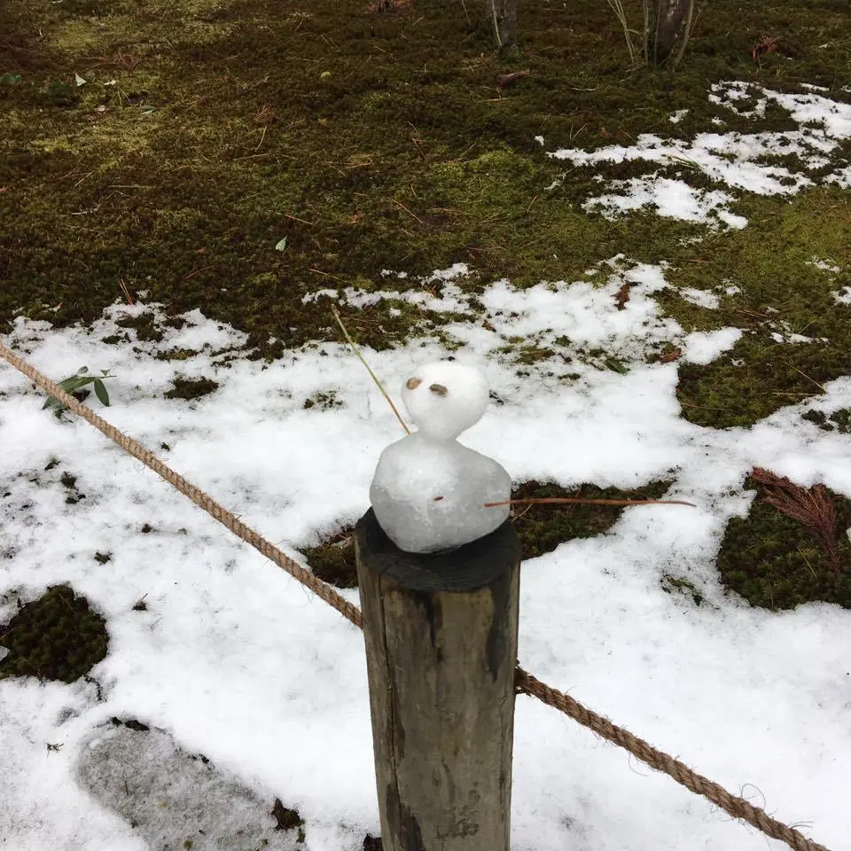 %EA%B2%90%EB%A1%9C%EC%BF%A0%EC%97%94-8.jpg?zoom=1.25&amp;resize=700%2C700