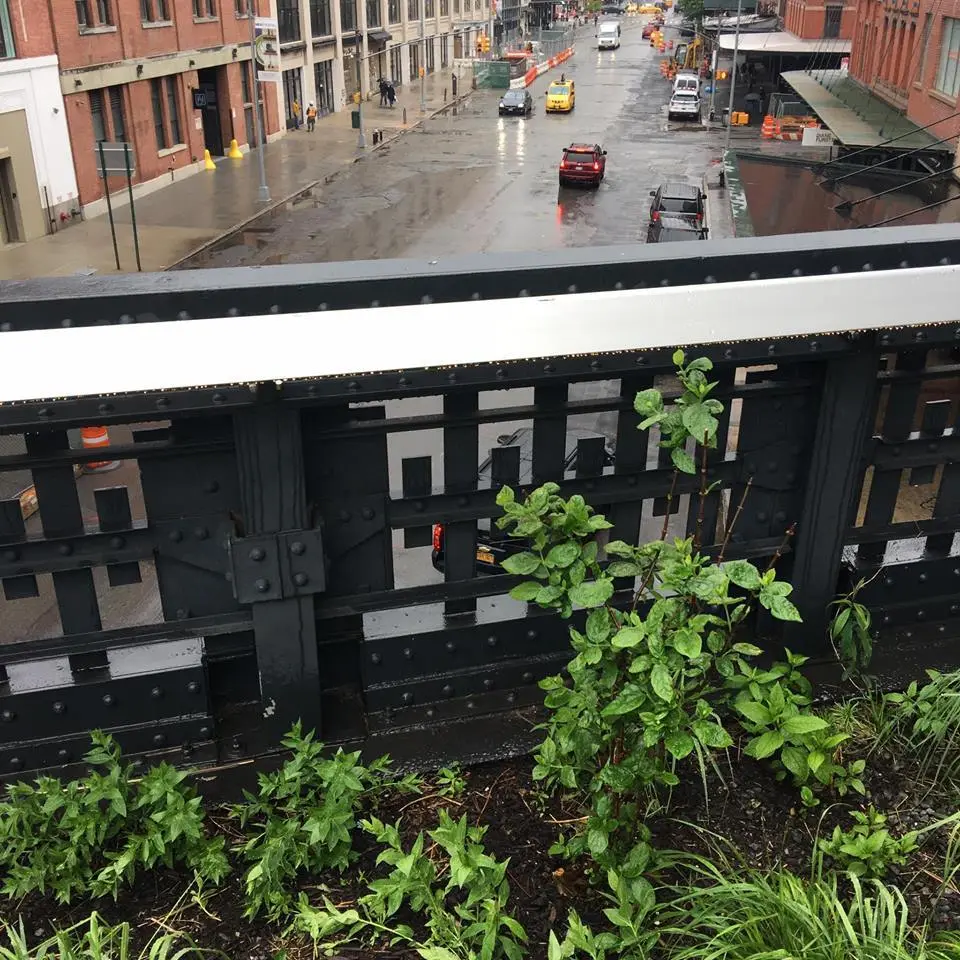 %EB%89%B4%EC%9A%95-%ED%95%98%EC%9D%B4%EB%9D%BC%EC%9D%B8-5.jpg?zoom=1.25&amp;resize=700%2C700