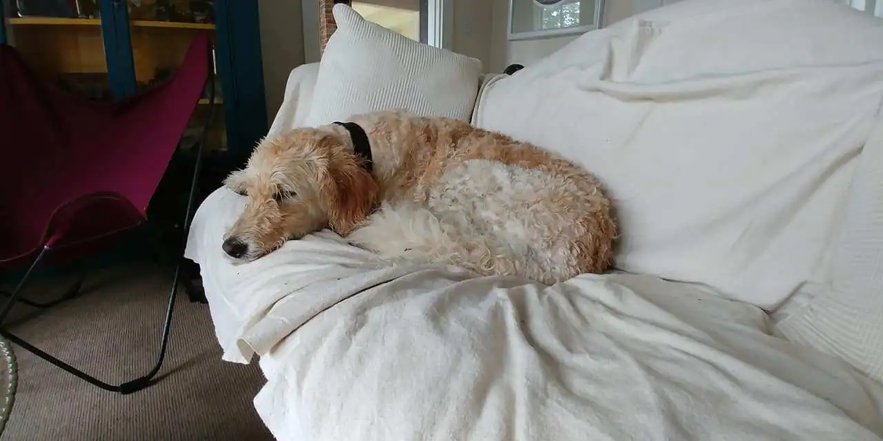 %EC%97%90%EC%96%B4%EB%B9%84%EC%95%A4%EB%B9%84-%EC%82%AC%EC%9A%A9%EA%B8%B0.jpg?zoom=1.25&amp;w=700