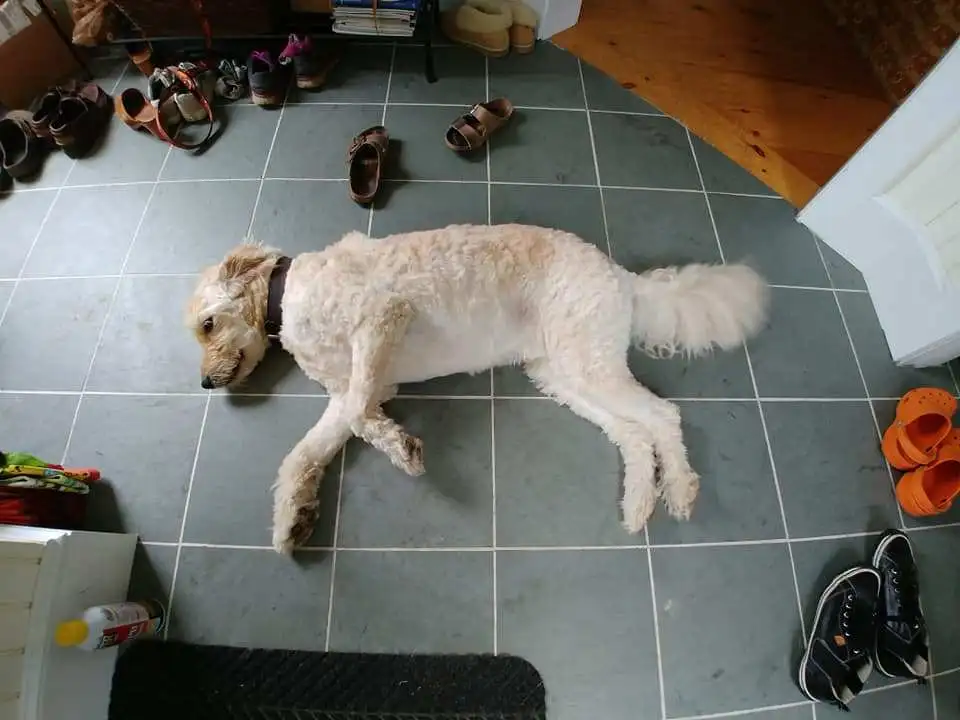 %EC%97%90%EC%96%B4%EB%B9%84%EC%95%A4%EB%B9%84-%EC%82%AC%EC%9A%A9%EA%B8%B0-1.jpg?zoom=1.25&amp;resize=700%2C525