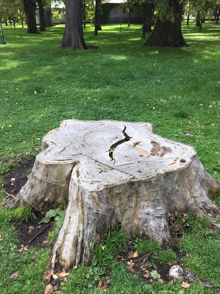 %ED%99%8B%EC%B9%B4%EC%9D%B4%EB%8F%84-%EB%8C%80%ED%95%99%EA%B5%90-5.jpg?zoom=1.25&amp;resize=700%2C933