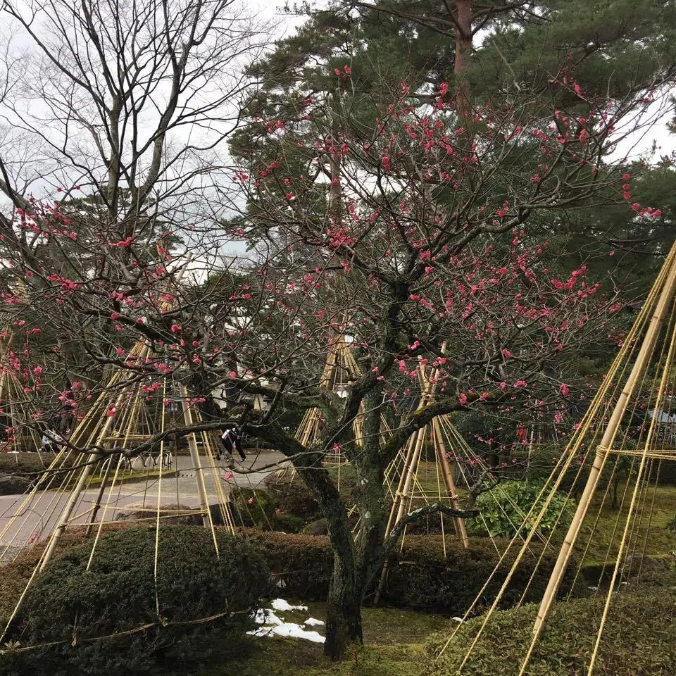 %EA%B2%90%EB%A1%9C%EC%BF%A0%EC%97%94-5.jpg?zoom=1.25&amp;resize=700%2C700