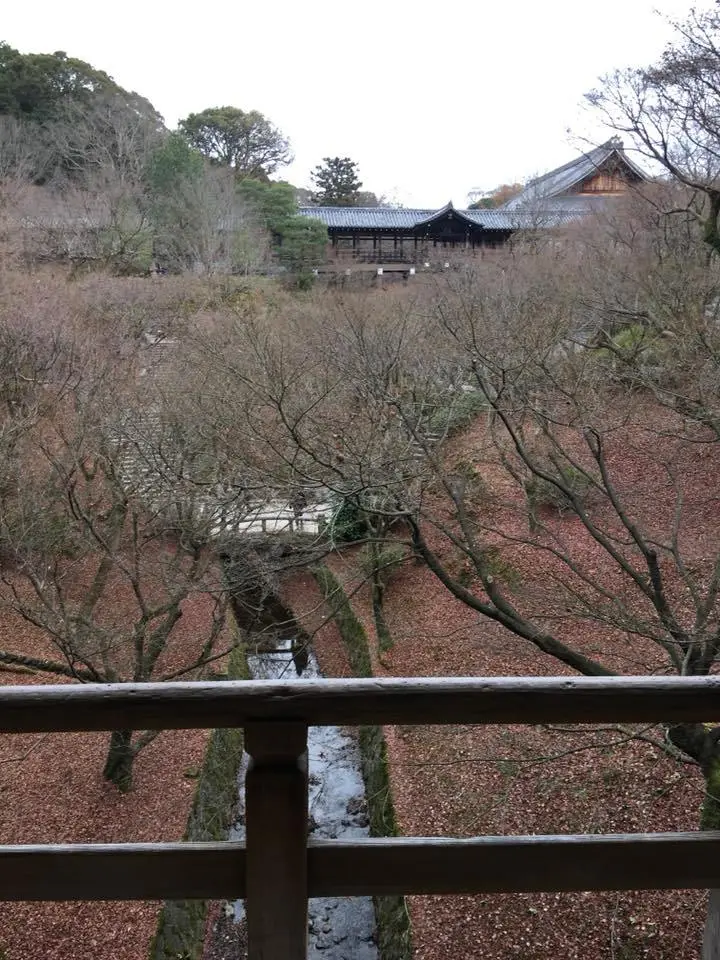 %EB%8F%84%ED%9B%84%EC%BF%A0%EC%A7%80%EC%9D%98-%EC%B2%9C%EA%B5%AD-%EA%B0%99%EC%9D%80-%ED%92%8D%EA%B2%BD-2.jpg?zoom=1.25&amp;resize=700%2C933