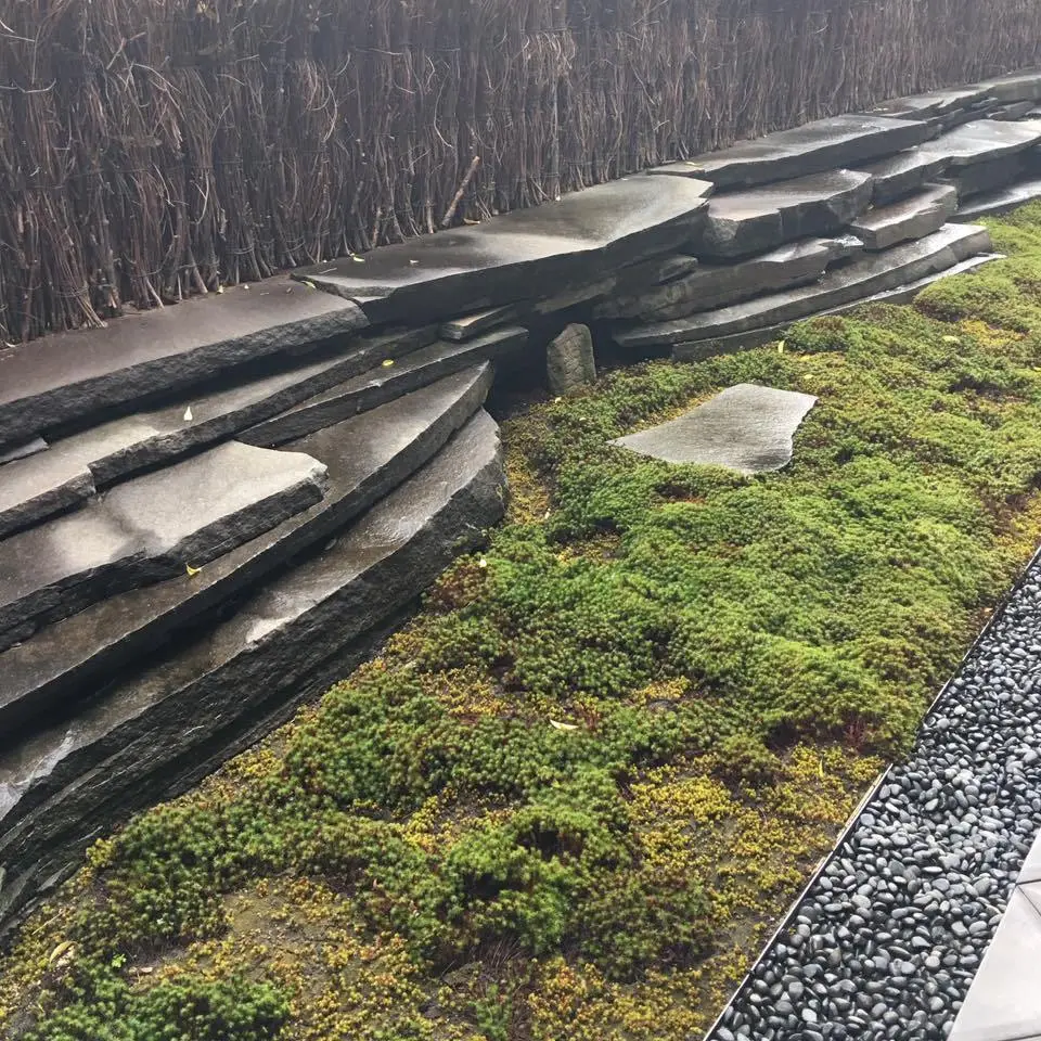 %EC%B9%B4%EB%84%A4%EB%8B%A4%EB%82%98%EC%B9%B4-7.jpg?zoom=1.25&amp;resize=700%2C700