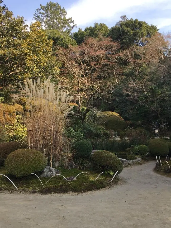 %EC%8B%9C%EC%84%BC%EB%8F%84-5.jpg?zoom=1.25&amp;resize=700%2C933