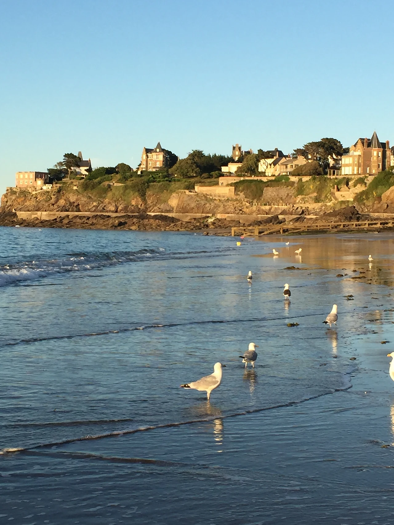 IMG_0670.jpg?zoom=1.25&amp;w=700