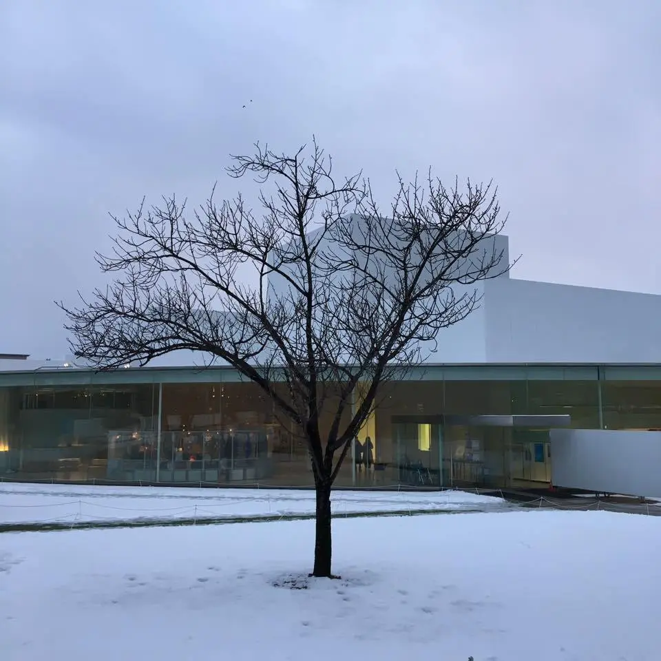 21%EC%84%B8%EA%B8%B0-%EB%AF%B8%EC%88%A0%EA%B4%80.jpg?zoom=1.25&amp;w=700