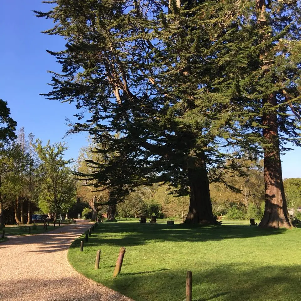 the-Pig%E2%80%99%EC%9D%98-%EC%82%BC%EC%8B%9C%EC%84%B8%EB%81%BC-18.jpg?zoom=1.25&amp;resize=700%2C700