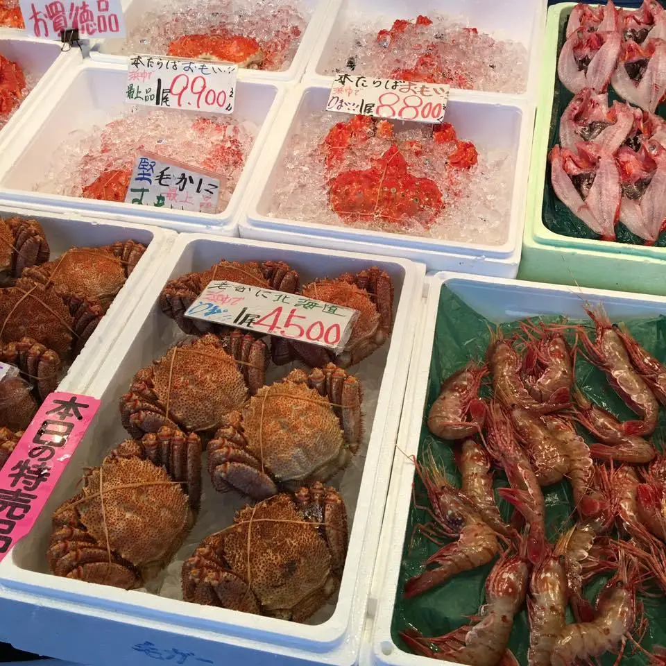 %EB%8B%88%EC%A1%B0%EC%9D%B4%EC%B9%98%EB%B0%94-1.jpg?zoom=1.25&amp;resize=700%2C700