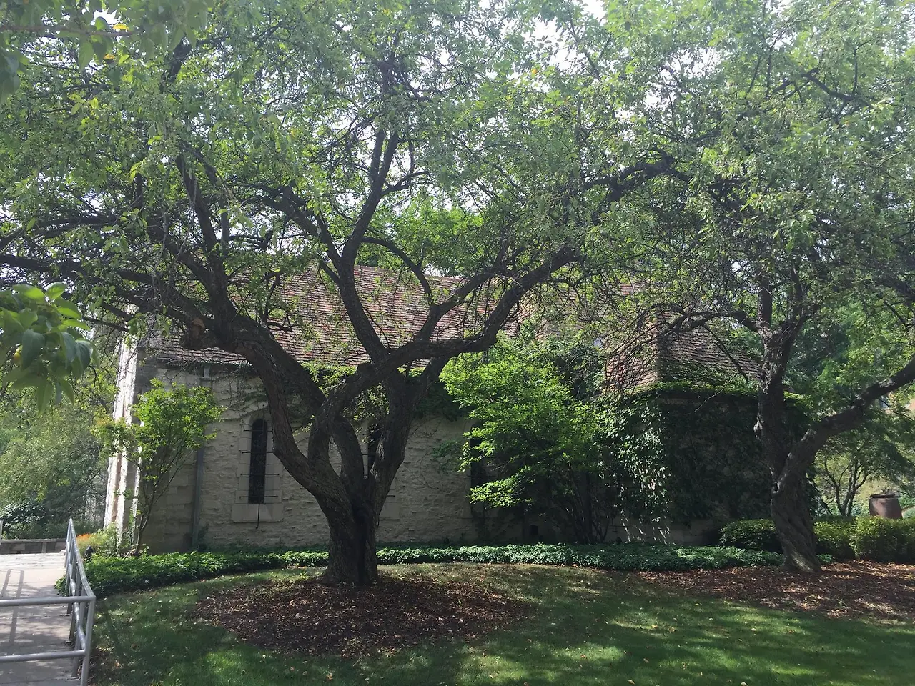 %EB%A7%88%EC%BC%93%EB%8C%80%ED%95%99%EA%B5%90-4.jpg?zoom=1.25&amp;resize=700%2C525