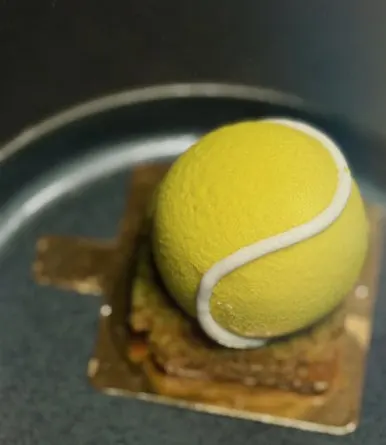 SE-584BE7D9-2FE3-47E5-8EC5-AB062F5B1266.jpg?type=w386