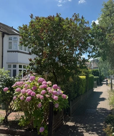 SE-1AC4CDAD-A1E6-452A-B008-E46A55857377.jpg?type=w386