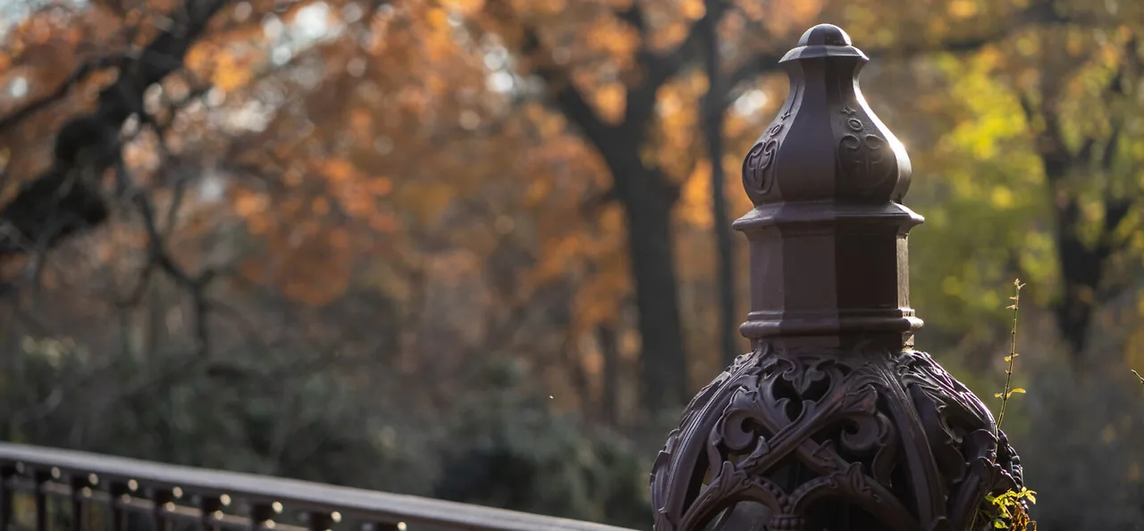 Winter Dale Bridge.jpeg