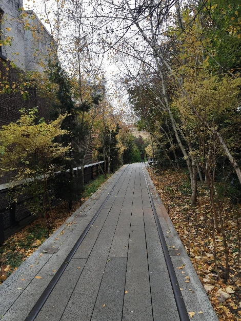 하이라인 철로3.JPG