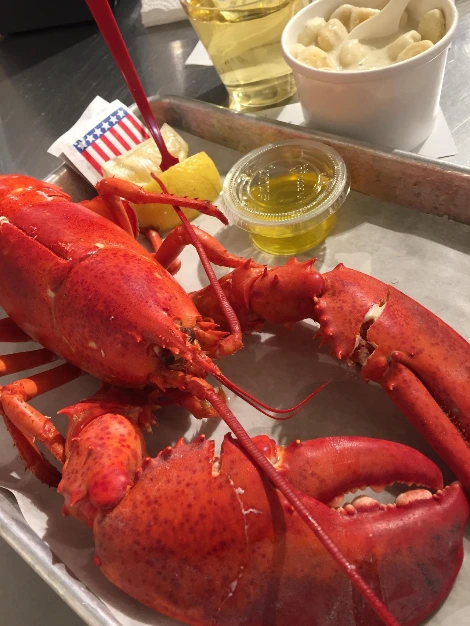 랍스터.JPG