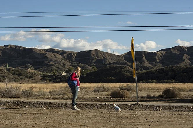 movie_image.jpg?type=m665_443_2