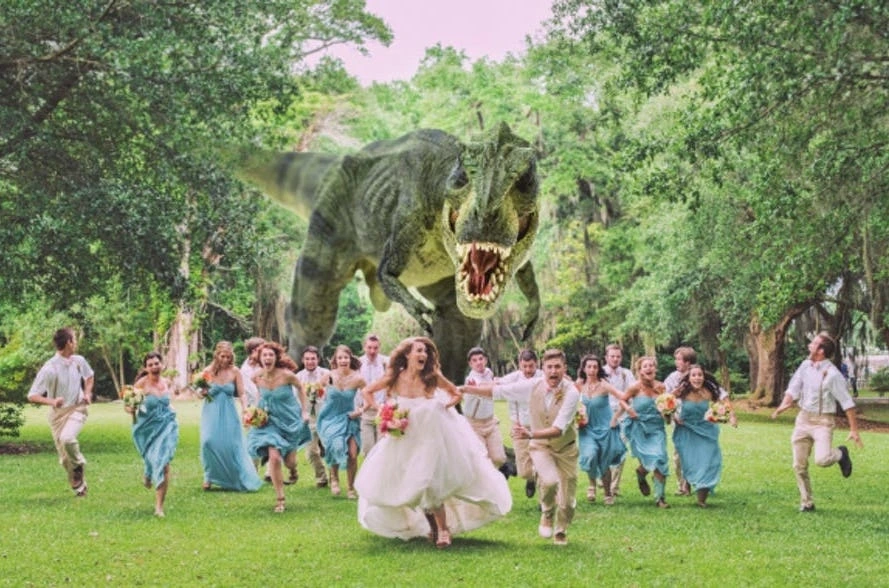 Crazy Weddings 3.jpeg