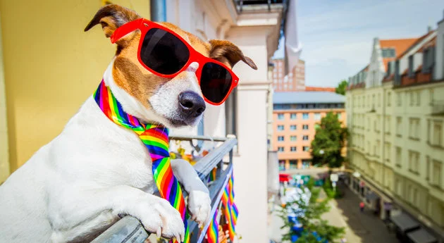 5ac1e4ac1e00003b137b04fa.jpeg?ops=crop_0_150_5616_3081,scalefit_630_noupscale