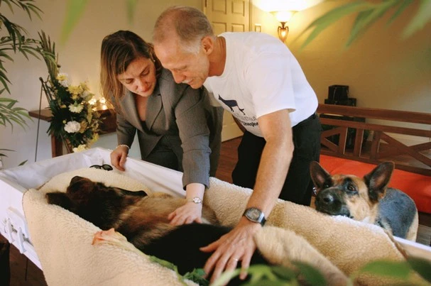 다운로드 (3).jpeg