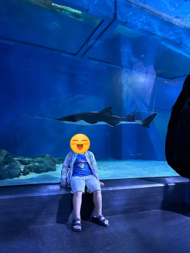 SE-BEB9F7EC-35A4-4A70-8BF2-B84DDB4F8A75.jpg?type=w773