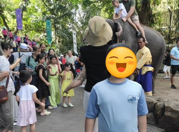 SE-2F022541-939B-4BA9-98E5-8783A3D39218.jpg?type=w773