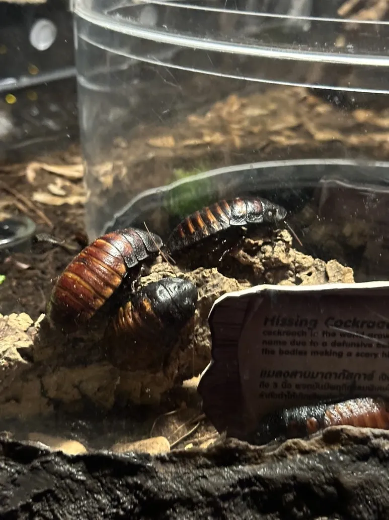 IMG_6895.jpg?type=w773