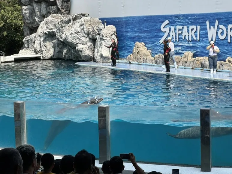 IMG_7233.jpg?type=w773