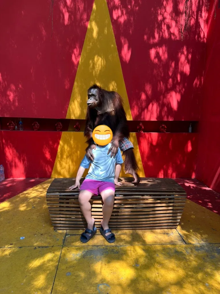 SE-0B72F794-282C-40C6-AD1E-940774941161.jpg?type=w773