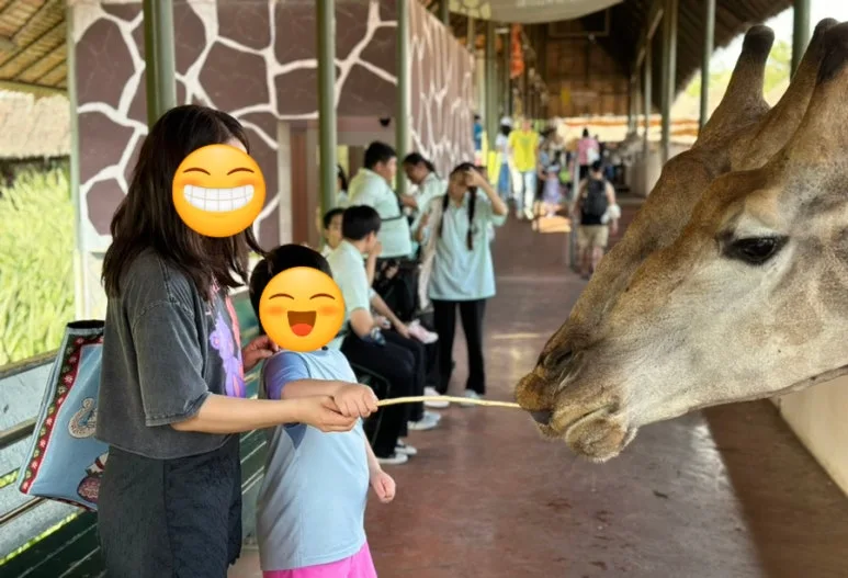 SE-AD2C8155-7C53-4509-8ADF-0BDF521E53E2.jpg?type=w773