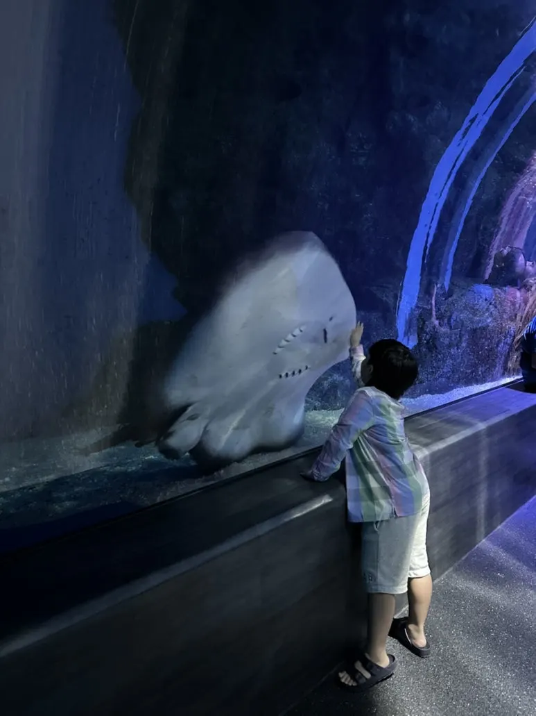 IMG_6977.jpg?type=w773