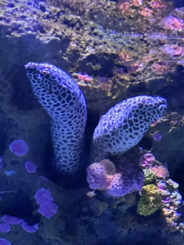 IMG_6873.jpg?type=w773