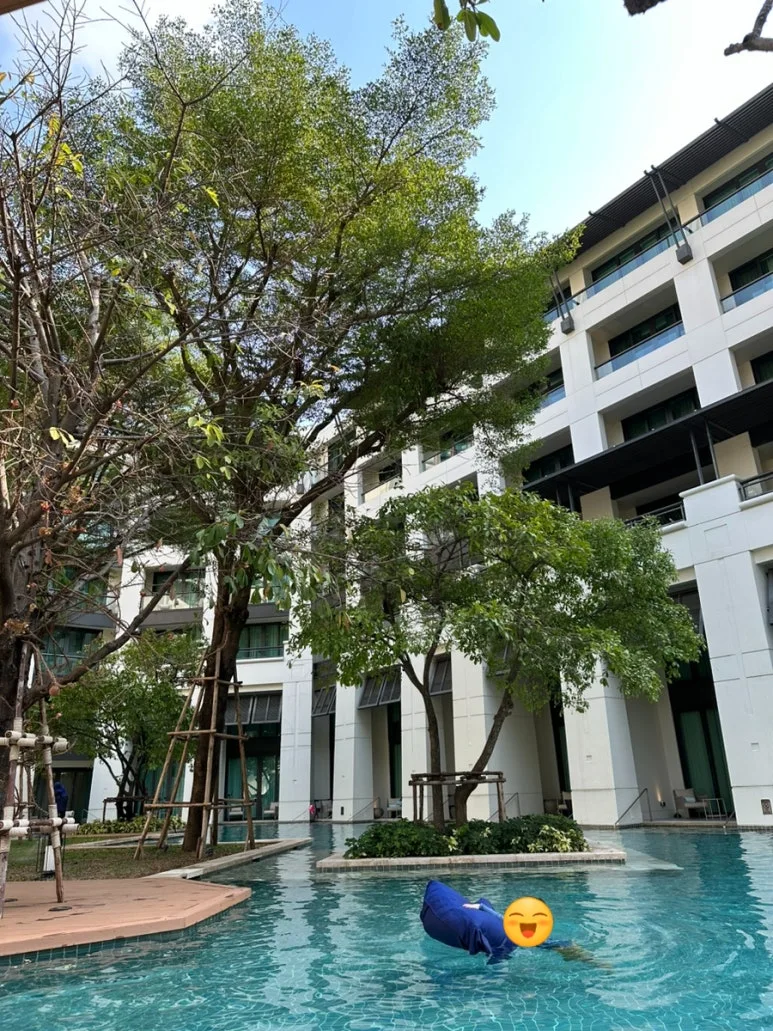 SE-45024624-DFE8-4B77-B43F-E902B827E282.jpg?type=w773