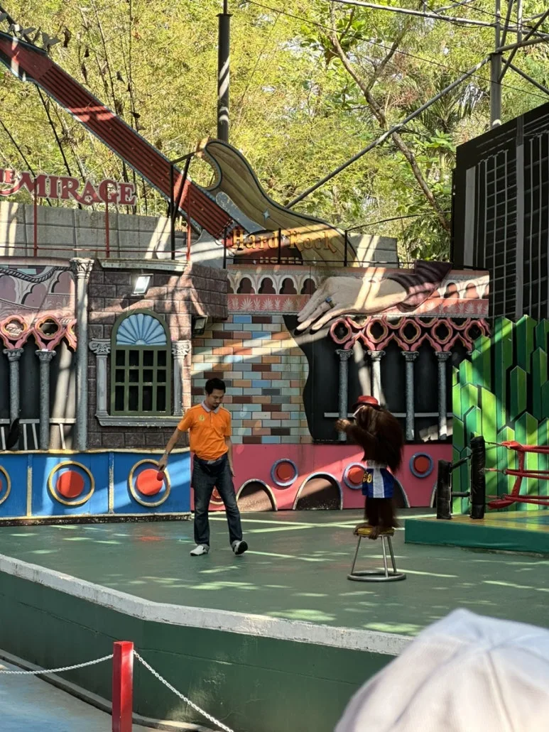 IMG_7138.jpg?type=w773