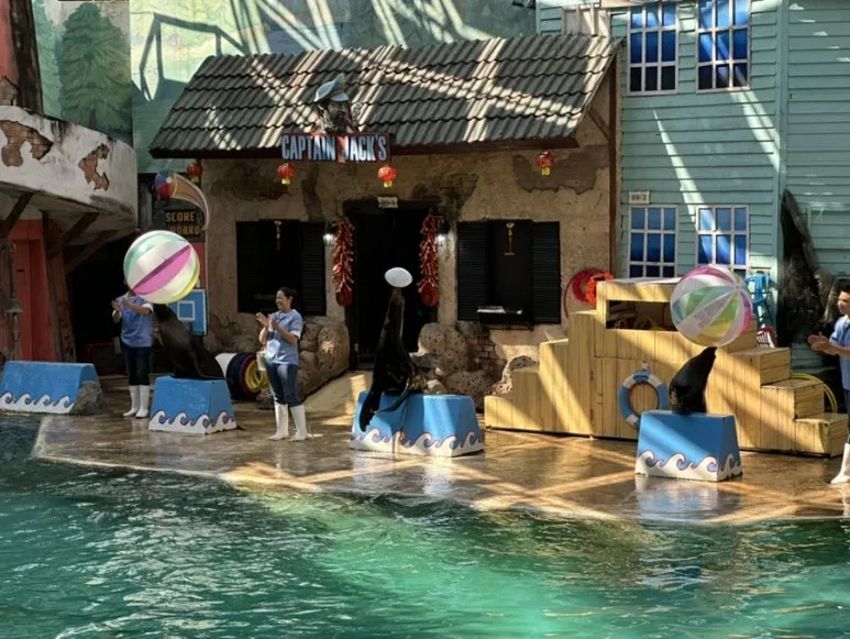 IMG_7249.jpg?type=w773