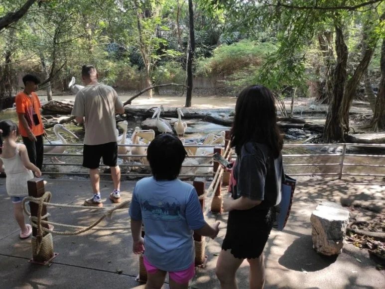 IMG_7172.JPG?type=w773