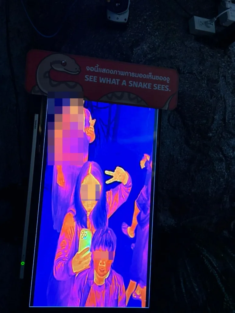 SE-91D5B164-5C86-4E6A-B53F-3472943FE35F.jpg?type=w773