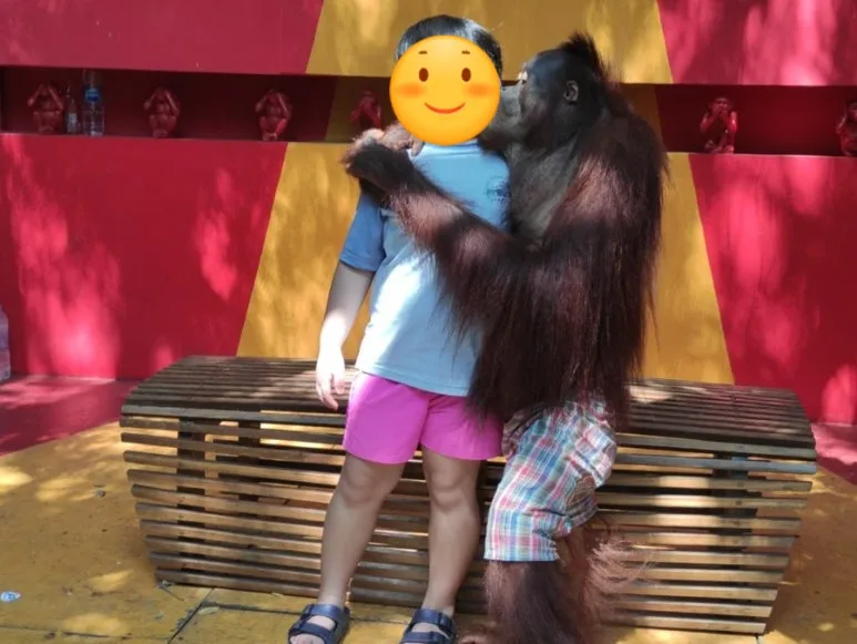 SE-EFF8774C-4493-47EF-95DC-9861D52D6A45.jpg?type=w773