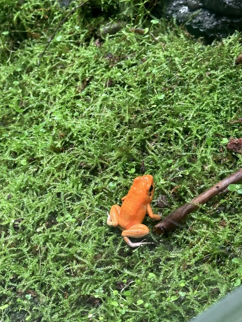 IMG_6888.jpg?type=w773