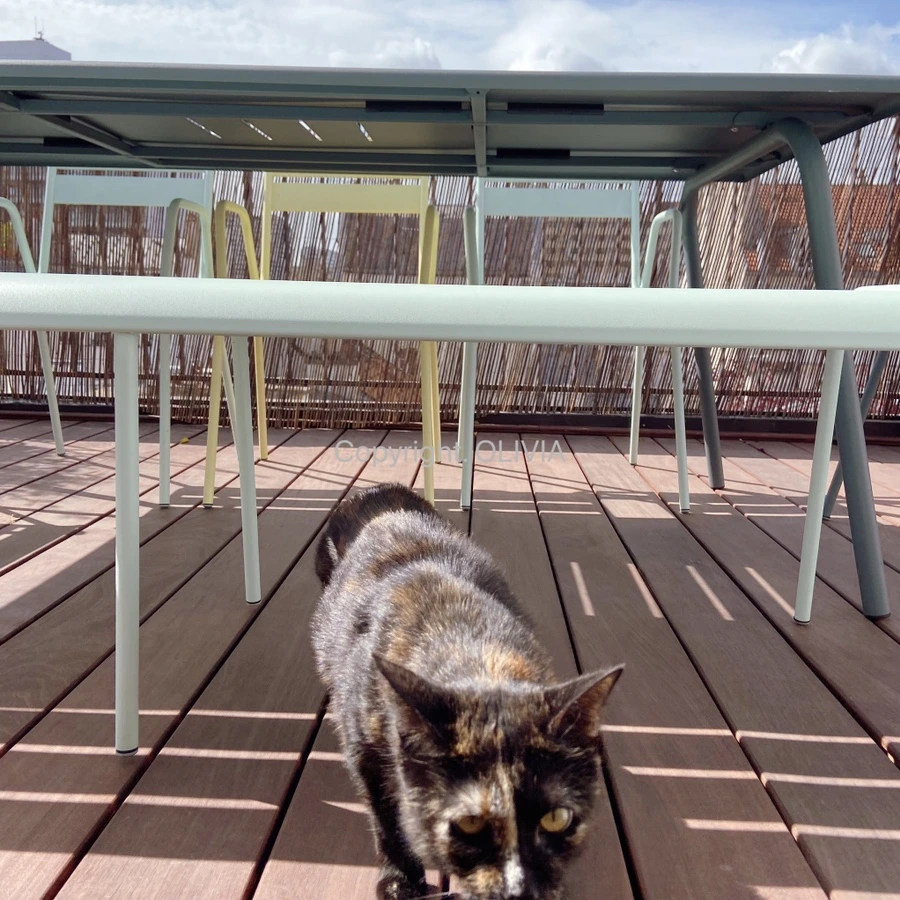 output_2740410740.jpg?type=w1