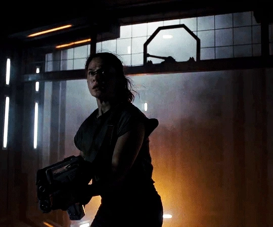 1GIF20.gif?type=w800