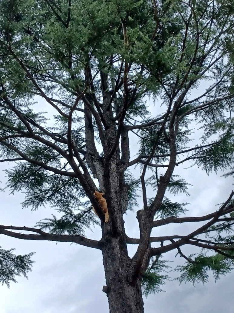 20230830%EF%BC%BF115043.jpg?type=w773