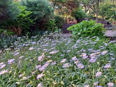 20230831%EF%BC%BF172719.jpg?type=w386