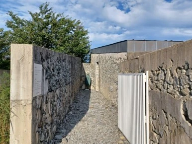 20230831%EF%BC%BF165911.jpg?type=w386