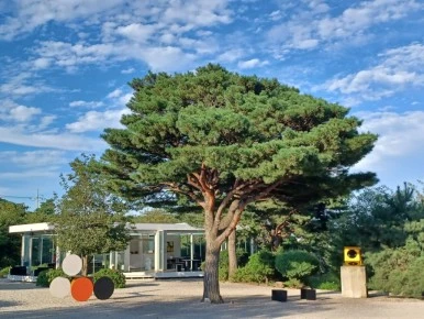 20230831%EF%BC%BF172836.jpg?type=w386